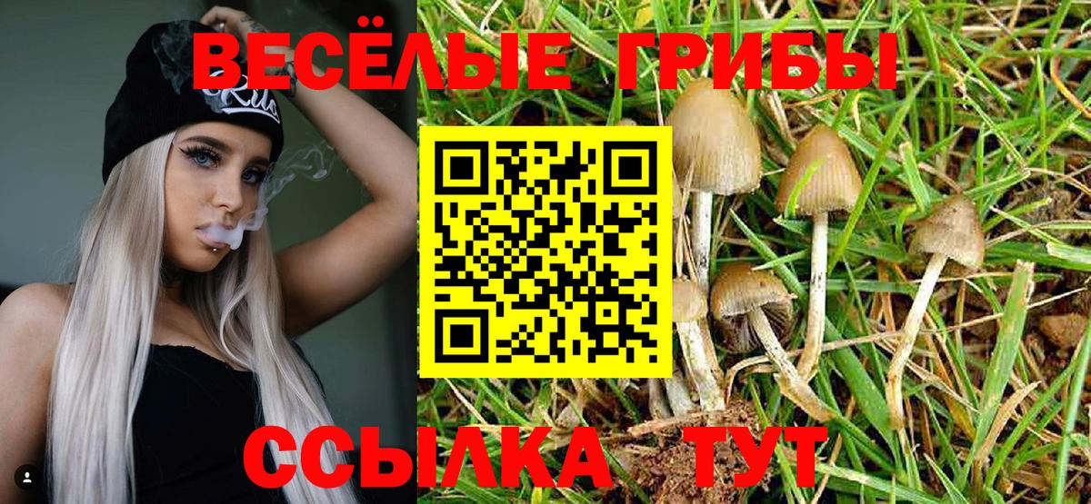 Волгоград  Галлюциногенные грибы GOLDEN TEACHER  закладки  Вход с VPN 