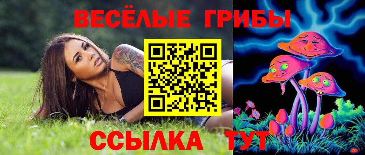 Псилоцибиновые грибы MAGIC MUSHROOMS Волгоград